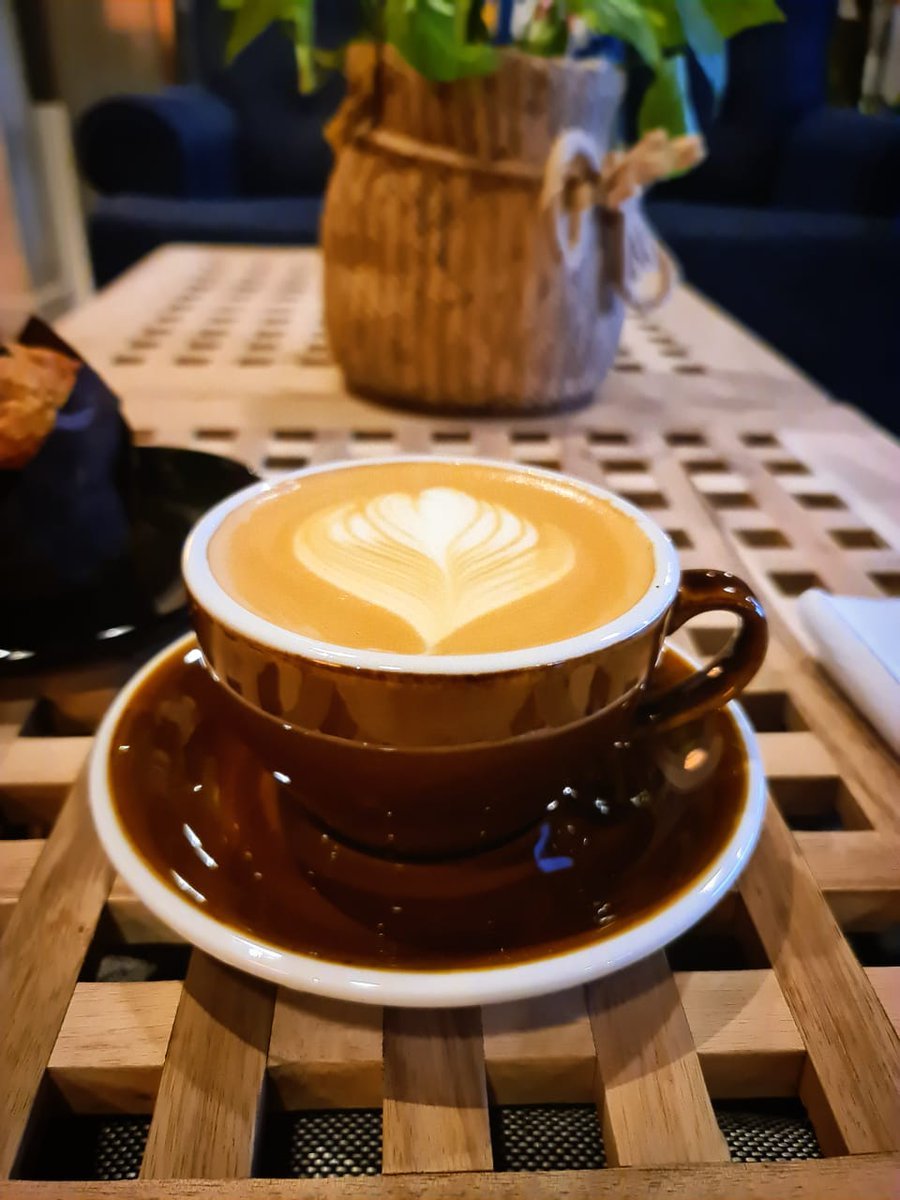 أشجار البن