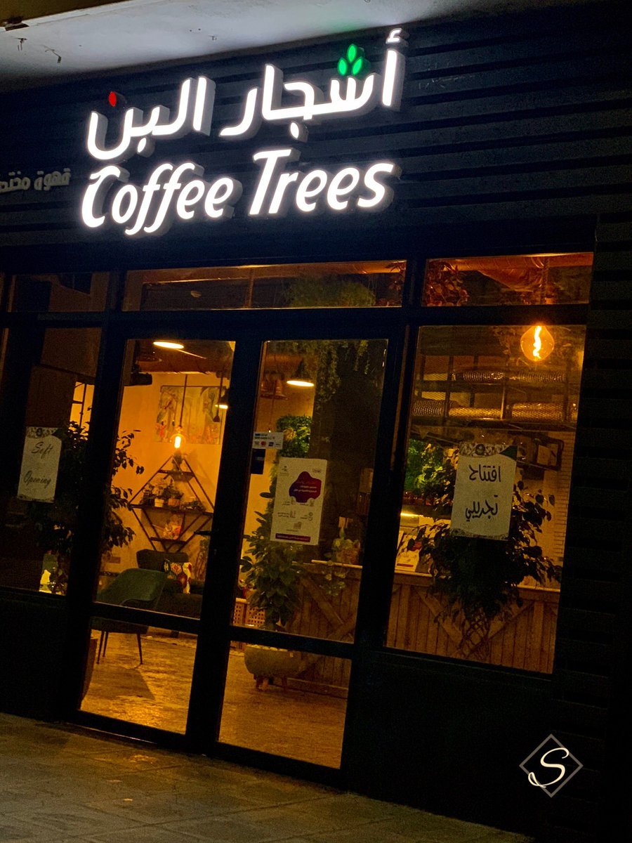 Coffee trees