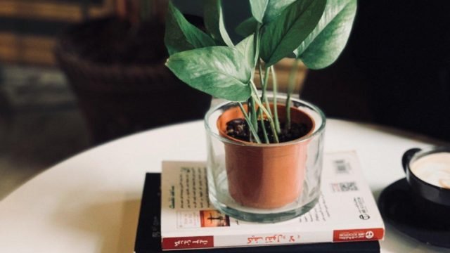 فنديره كافيه مقهى نسائي بالرياض (الأسعار+ المنيو+ الموقع)