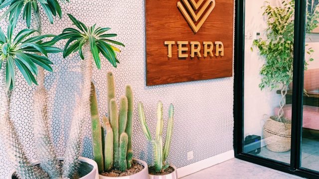تيرا كافيه TERRA CAFE بالرياض (الأسعار+ المنيو+ الموقع)