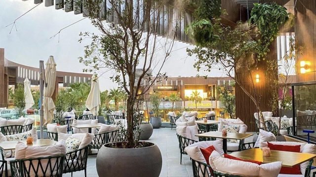 مطعم ديفيد بيرك David Burke (الأسعار+ المنيو+ الموقع)