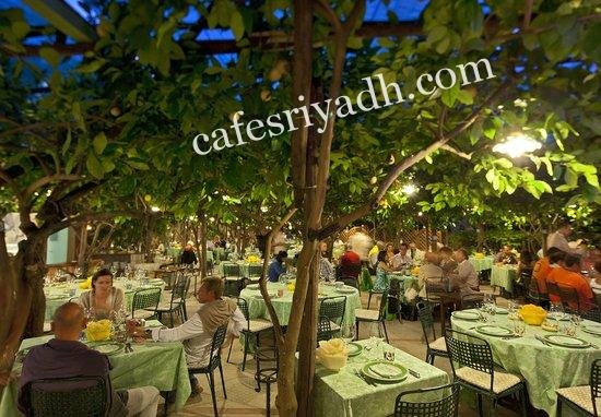 مطعم دا باولينو Da Paolino منطقة المربع (الأسعار+ المنيو+ الموقع)