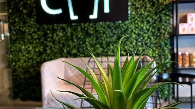 مقهي شاي بخار cHi الرياض (الأسعار+ المنيو+ الموقع)