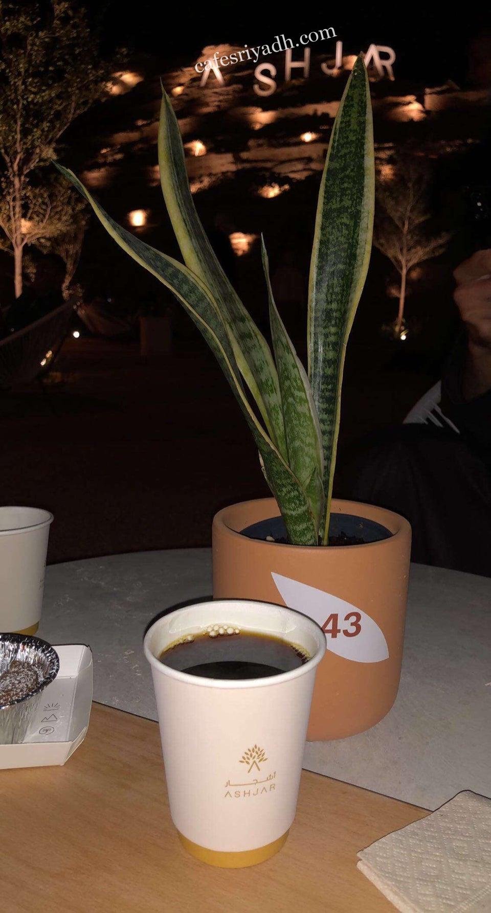 شتاء أشجار