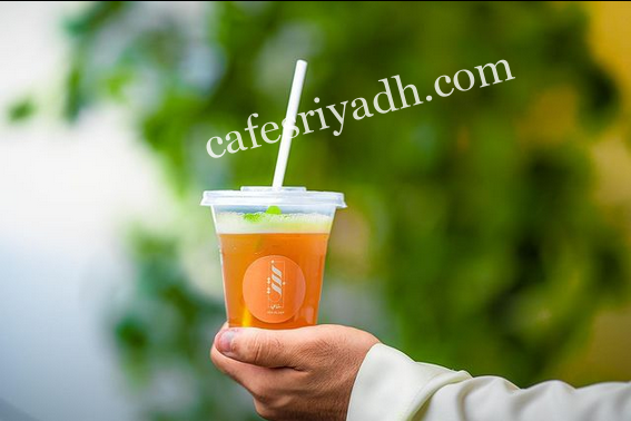 نبتة شاي TEA PLANT