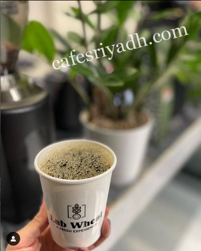 لاب ويت الرياض