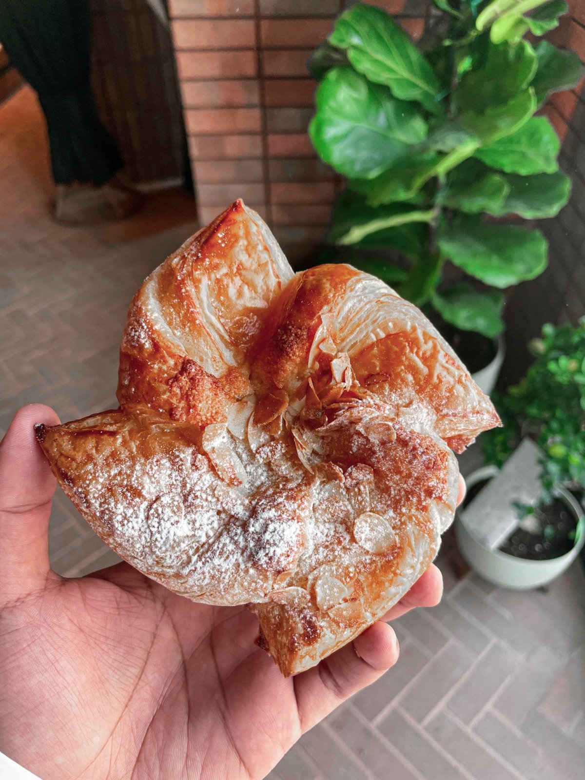 بريدي الرياض